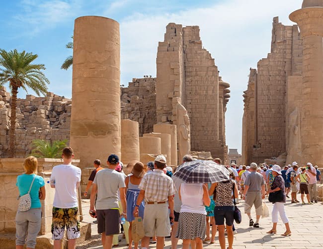 JNETOUR Special Activities